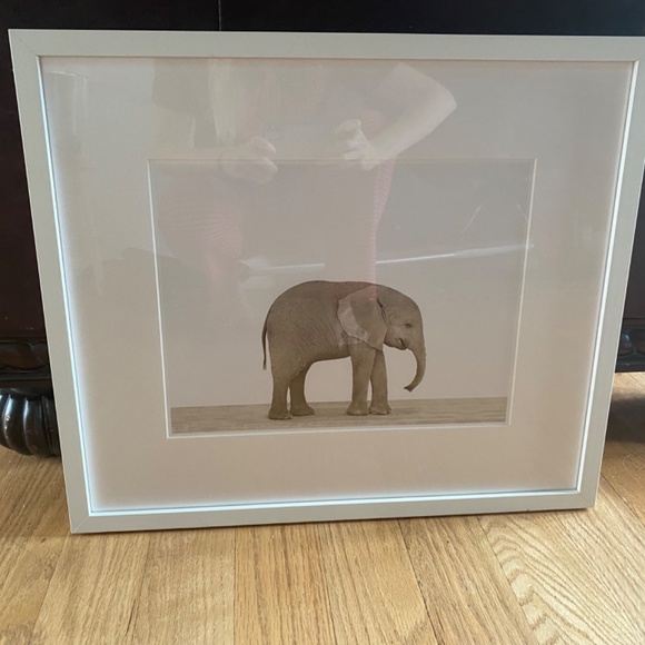 Animal print shop nursery elephant print - Picture 2 of 4
